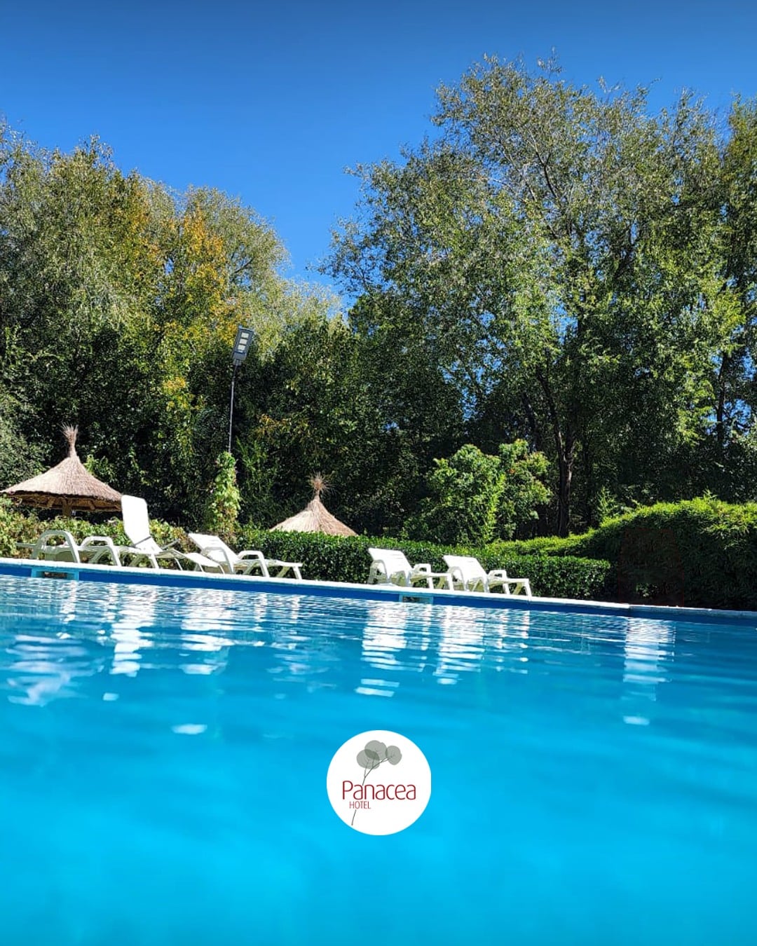 426532106 885162366958794 5133082578994705213 n