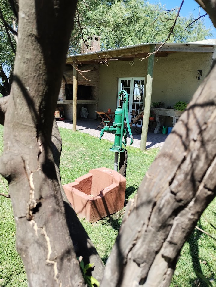 IMG 20241123 143533782