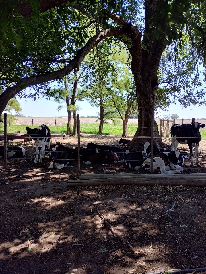 IMG 20241123 143614662 HDR