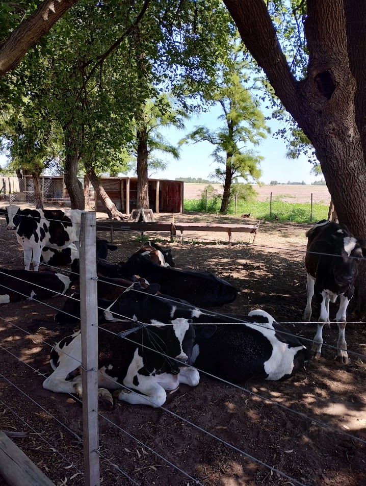 IMG 20241123 143630133 HDR