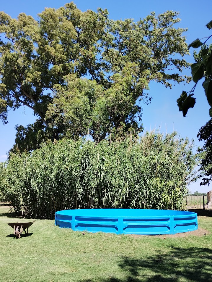 IMG 20241123 143655845