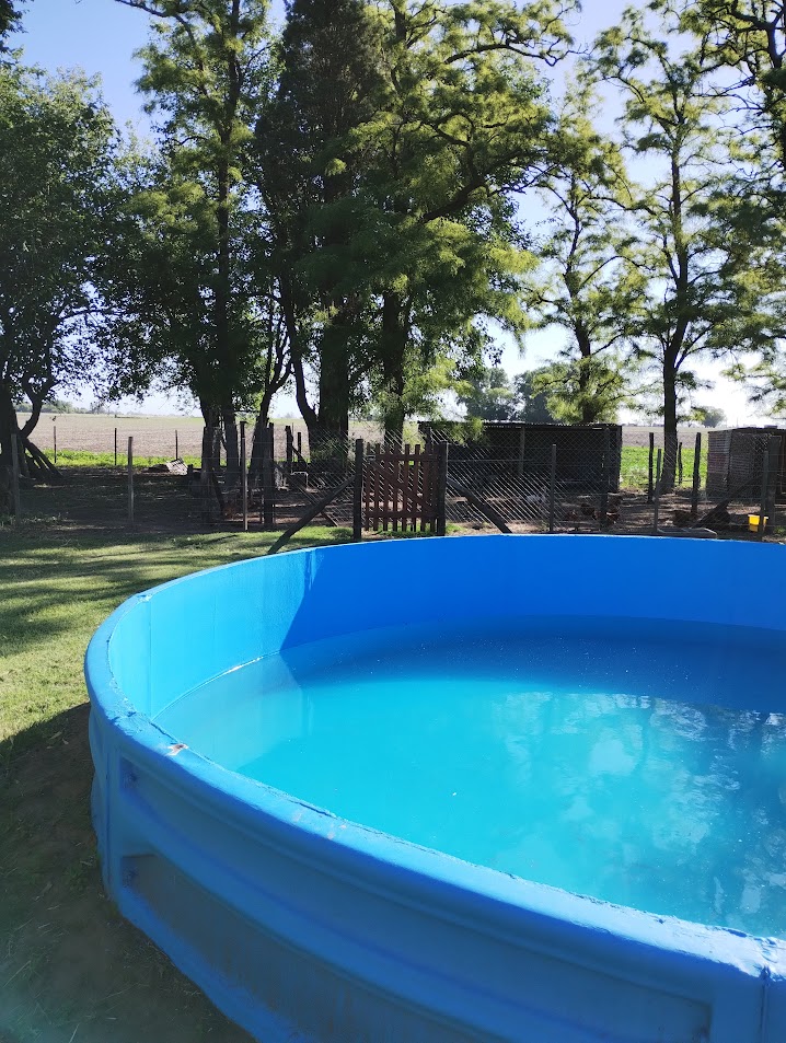 IMG 20241123 170633753