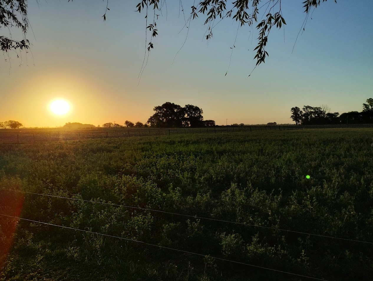 IMG 20241123 193418354 HDR