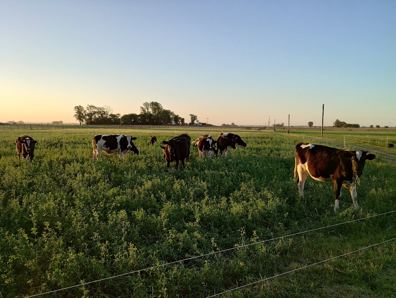 IMG 20241123 193443550 HDR