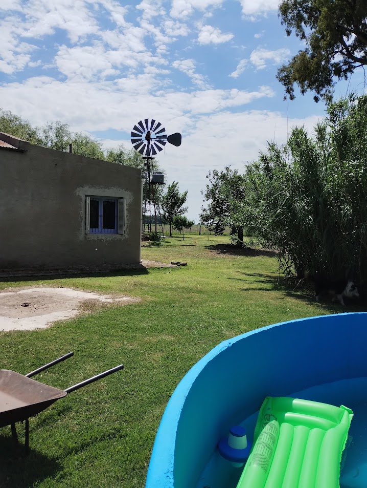 IMG 20241124 104027992