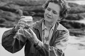 Rachel Carson