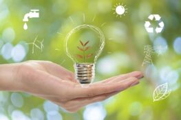 Dia Mundial de la Energia