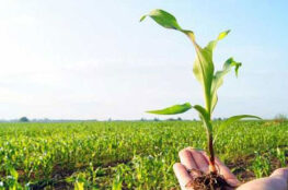 diadelagricultor